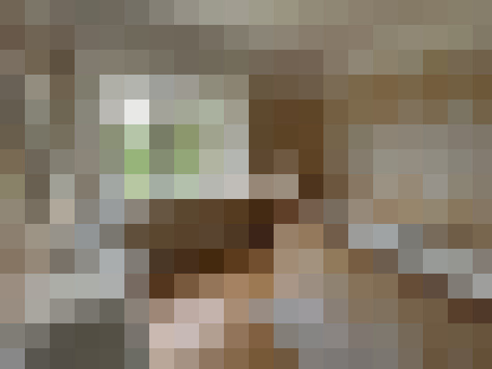  / #6