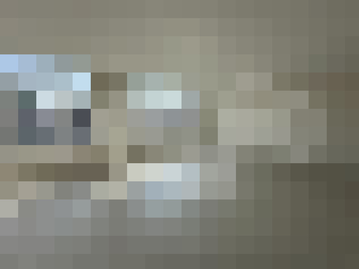  / #17