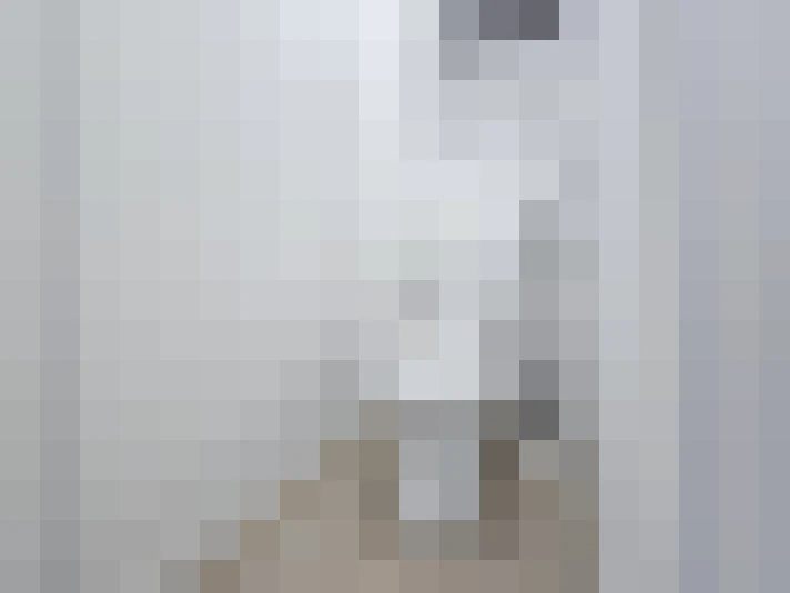  / #11