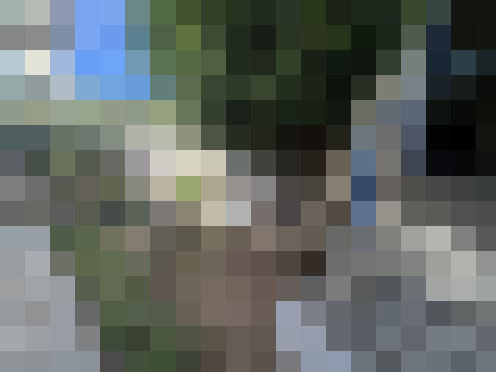 / #7