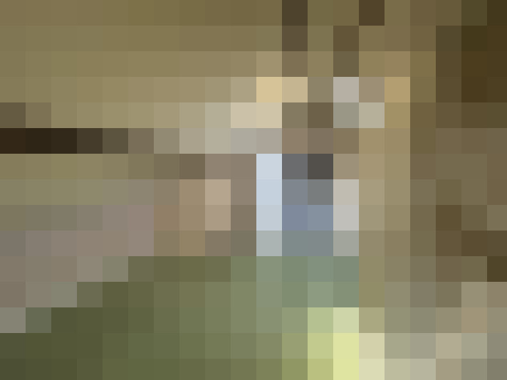  / #8