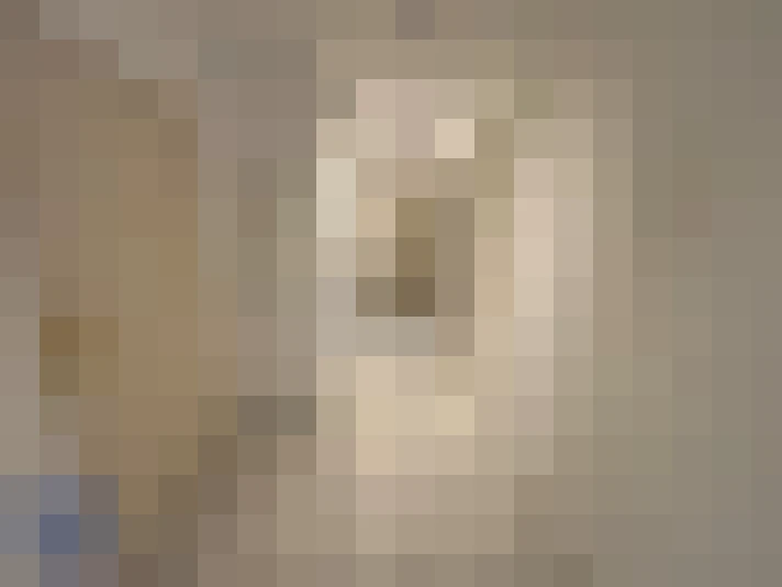  / #11