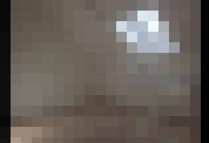 / #6