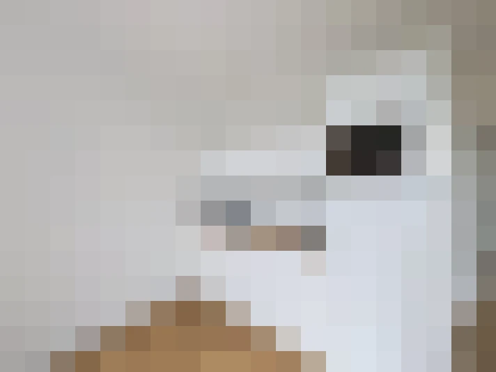  / #2