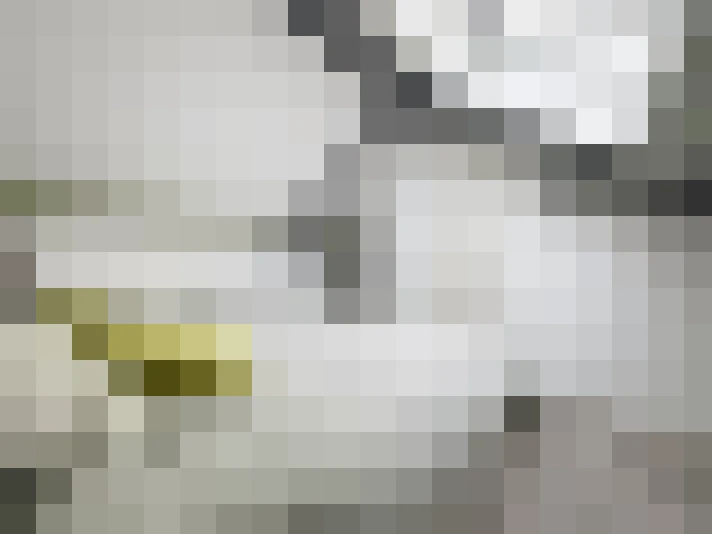  / #13