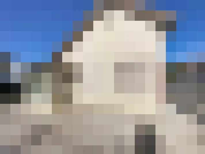  / #11