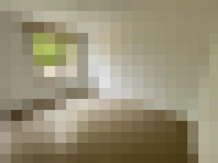  / #8