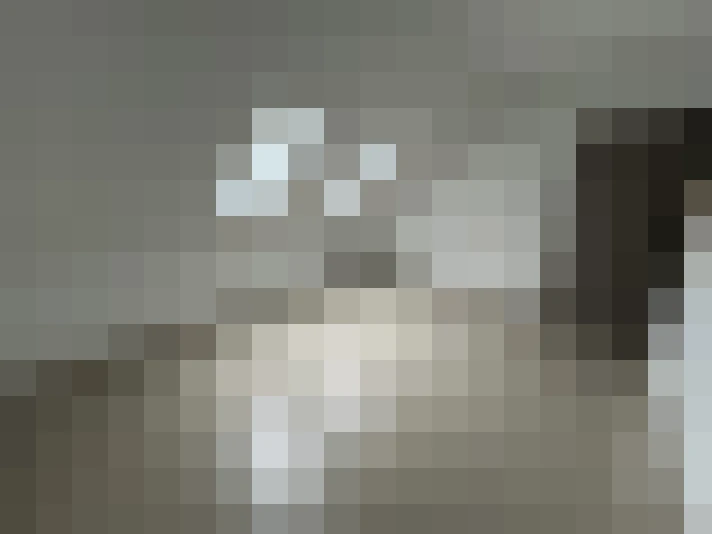  / #17