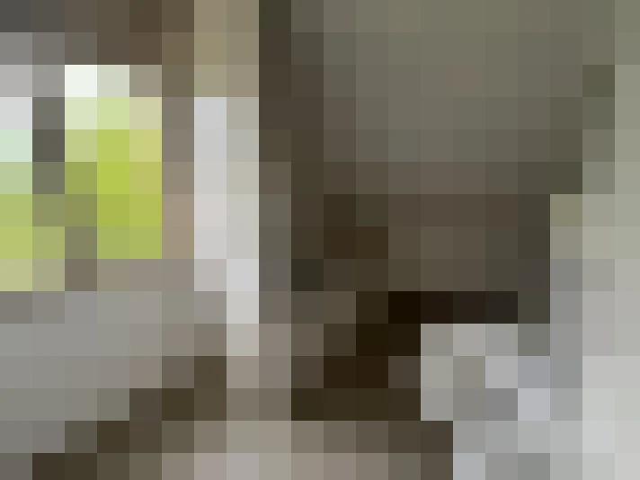  / #15
