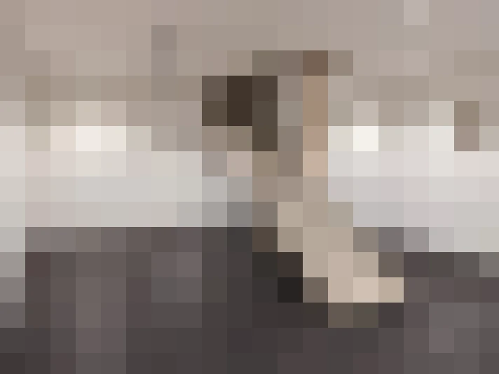  / #17