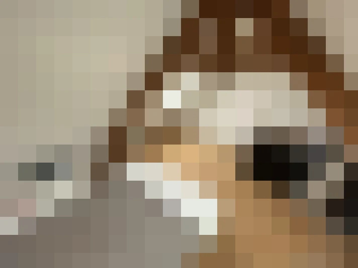  / #9