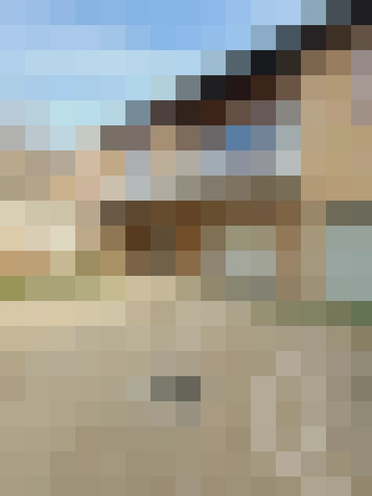  / #16