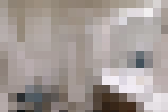  / #16