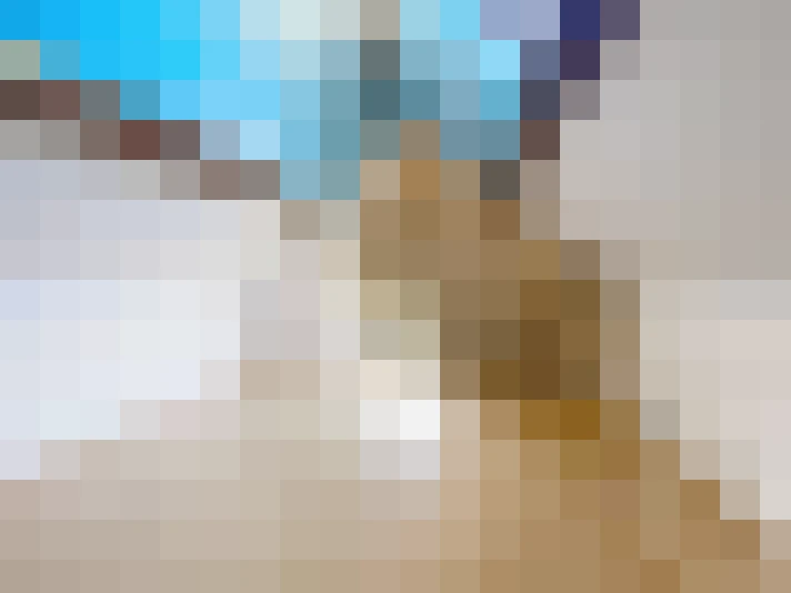  / #7