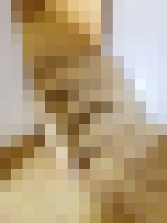  / #22