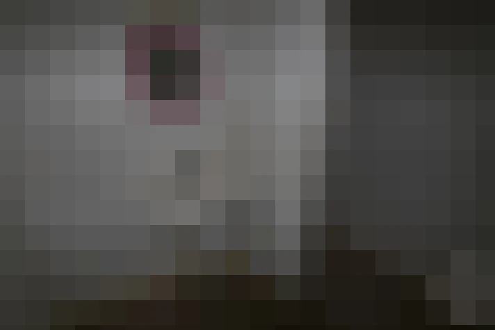  / #8