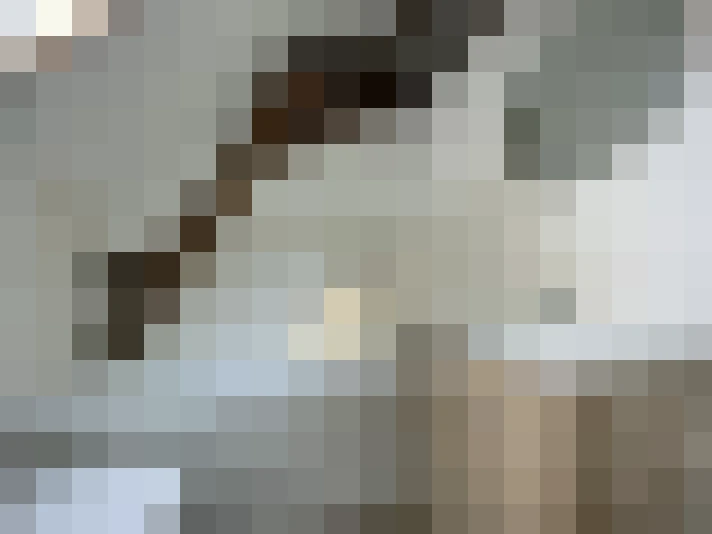  / #7