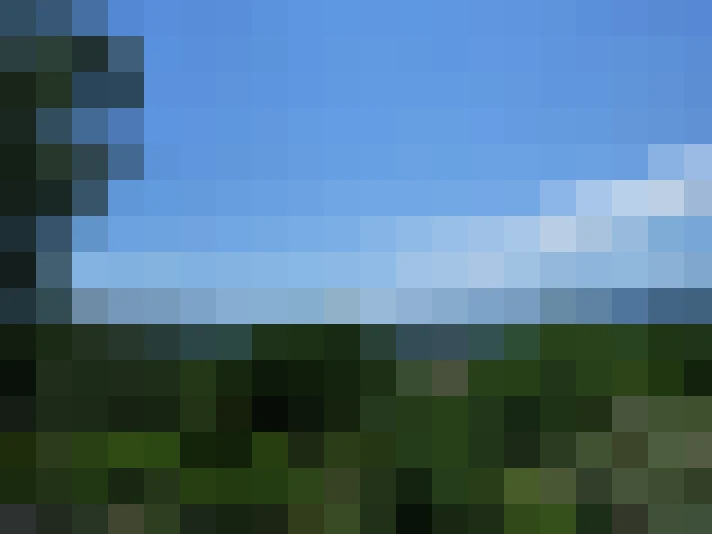  / #16
