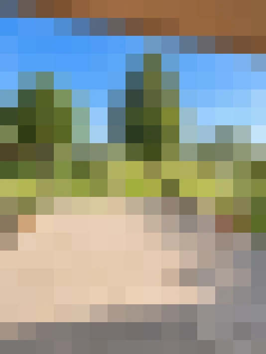  / #15