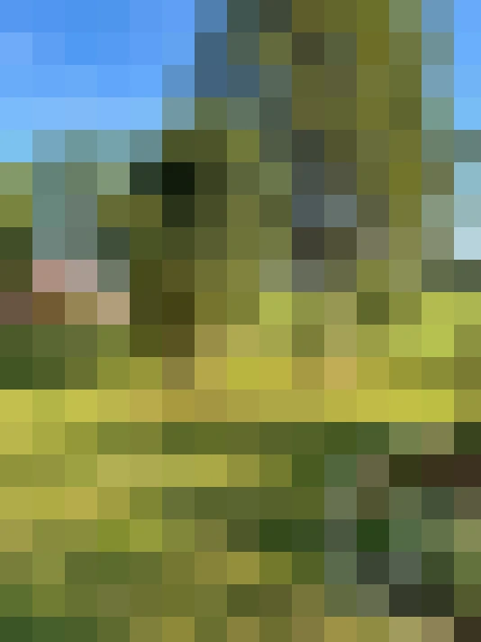  / #14