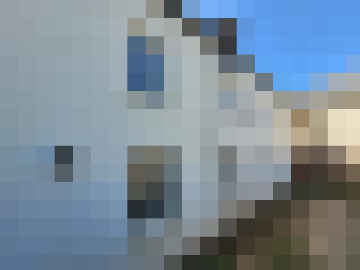  / #13