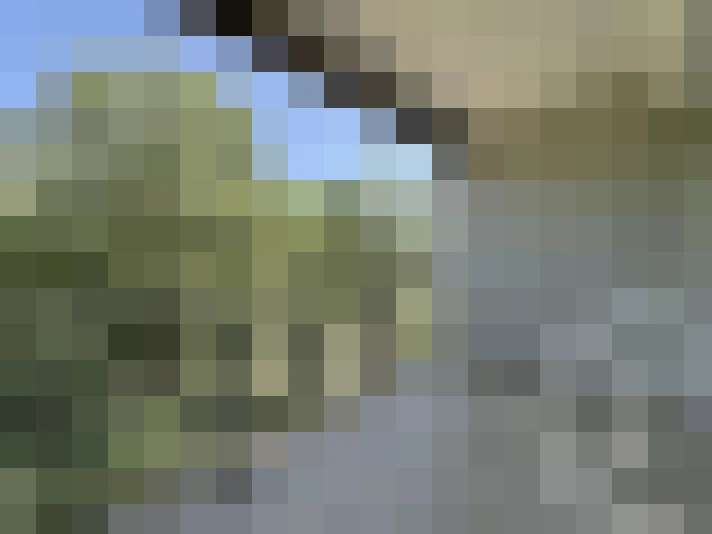  / #12