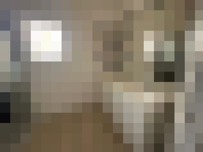  / #15