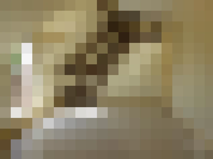  / #14