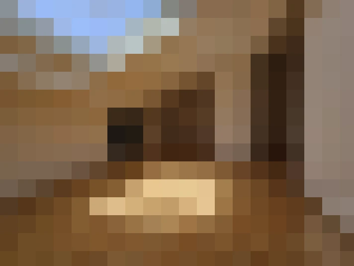 / #8
