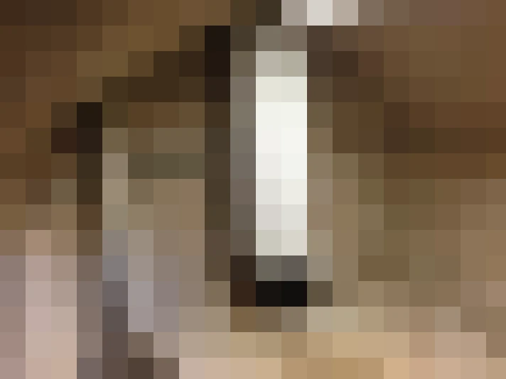  / #9