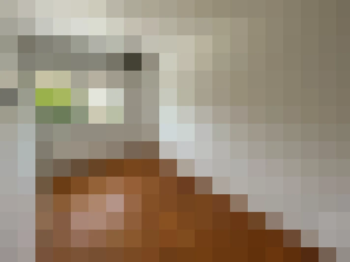  / #16