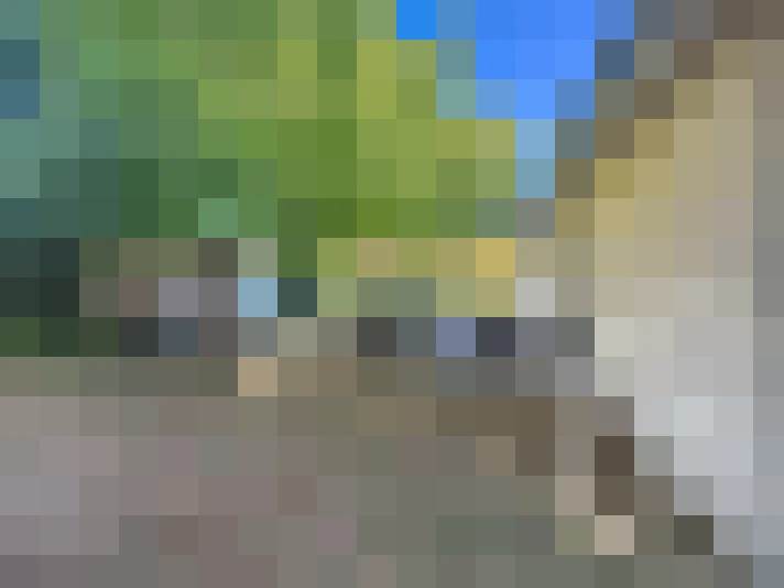  / #16