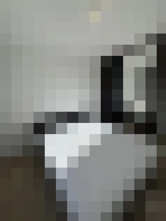  / #11