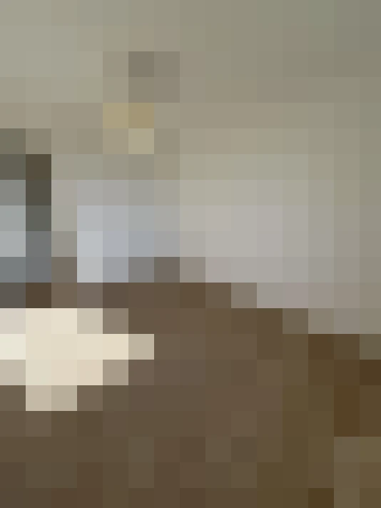 / #13