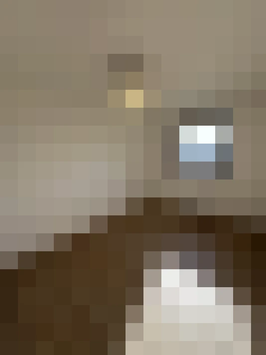  / #12