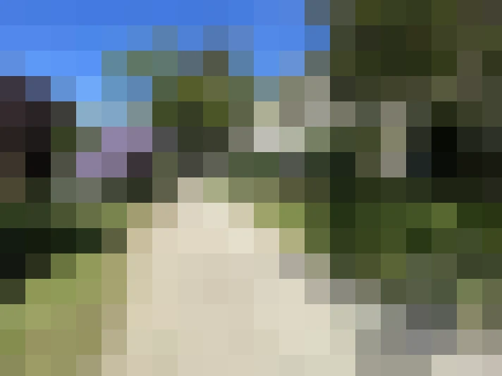  / #7
