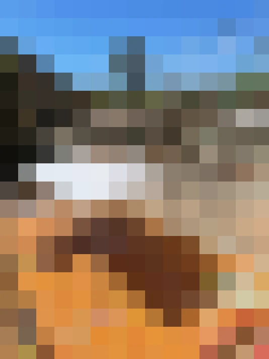  / #11
