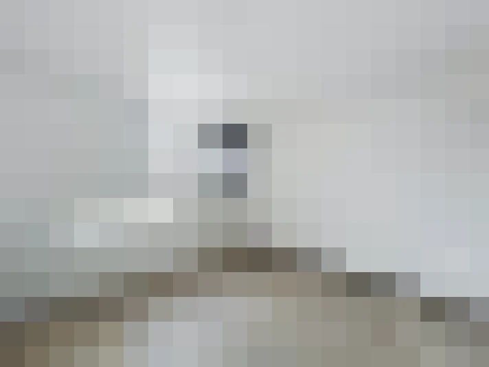  / #15
