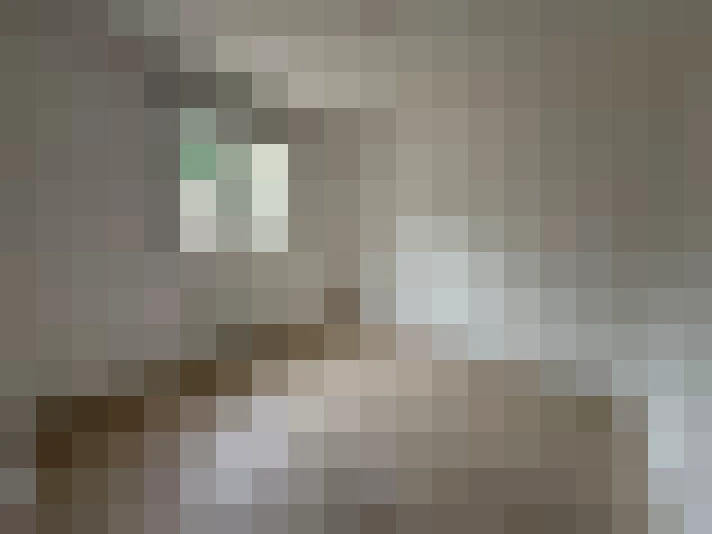  / #8