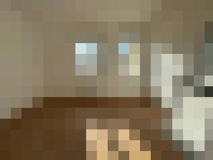  / #6