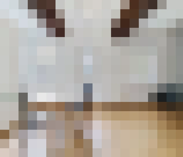  / #11