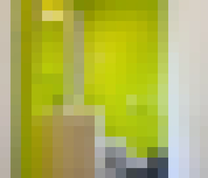  / #17