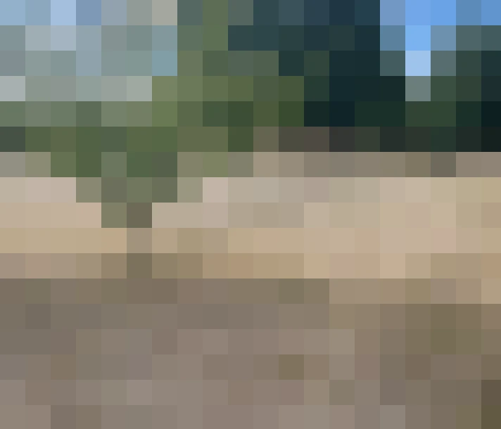  / #14
