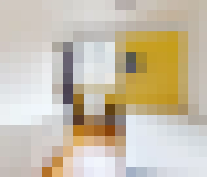  / #7