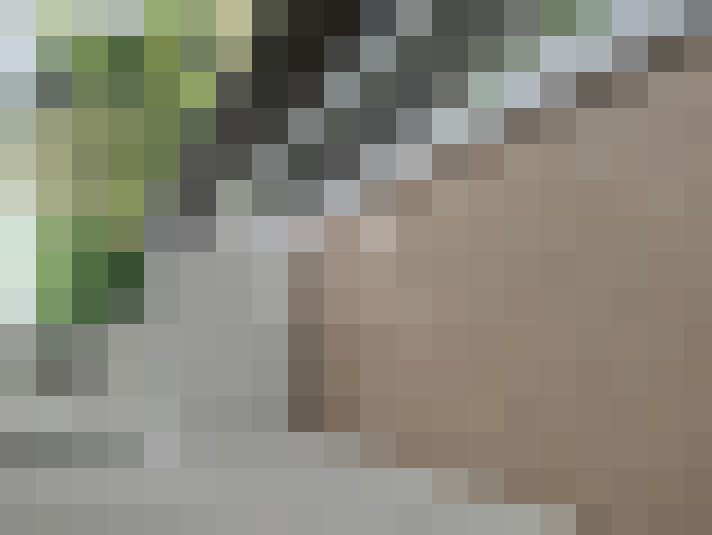  / #13