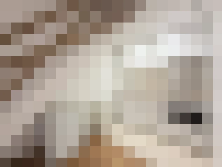  / #3
