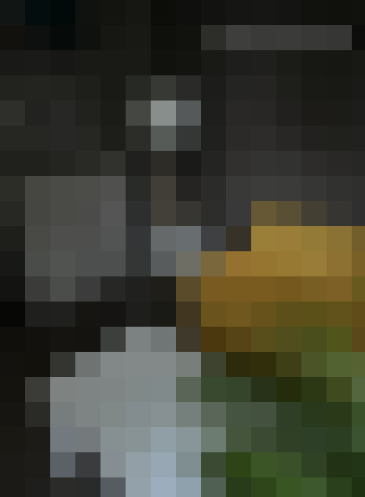  / #12
