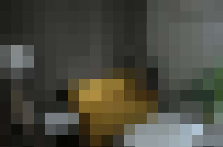  / #11