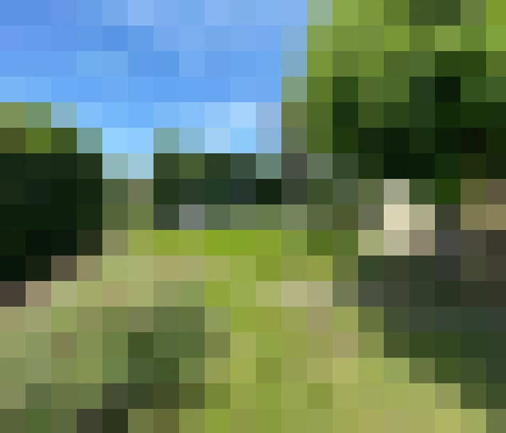  / #12