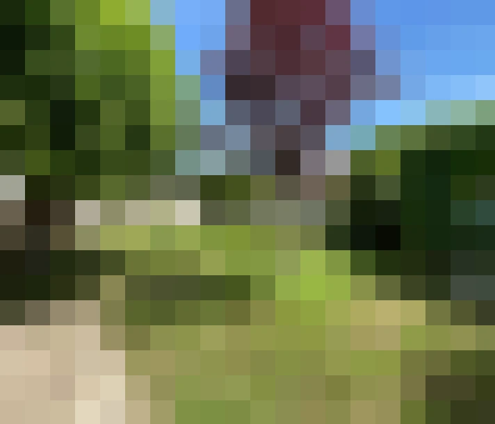  / #11